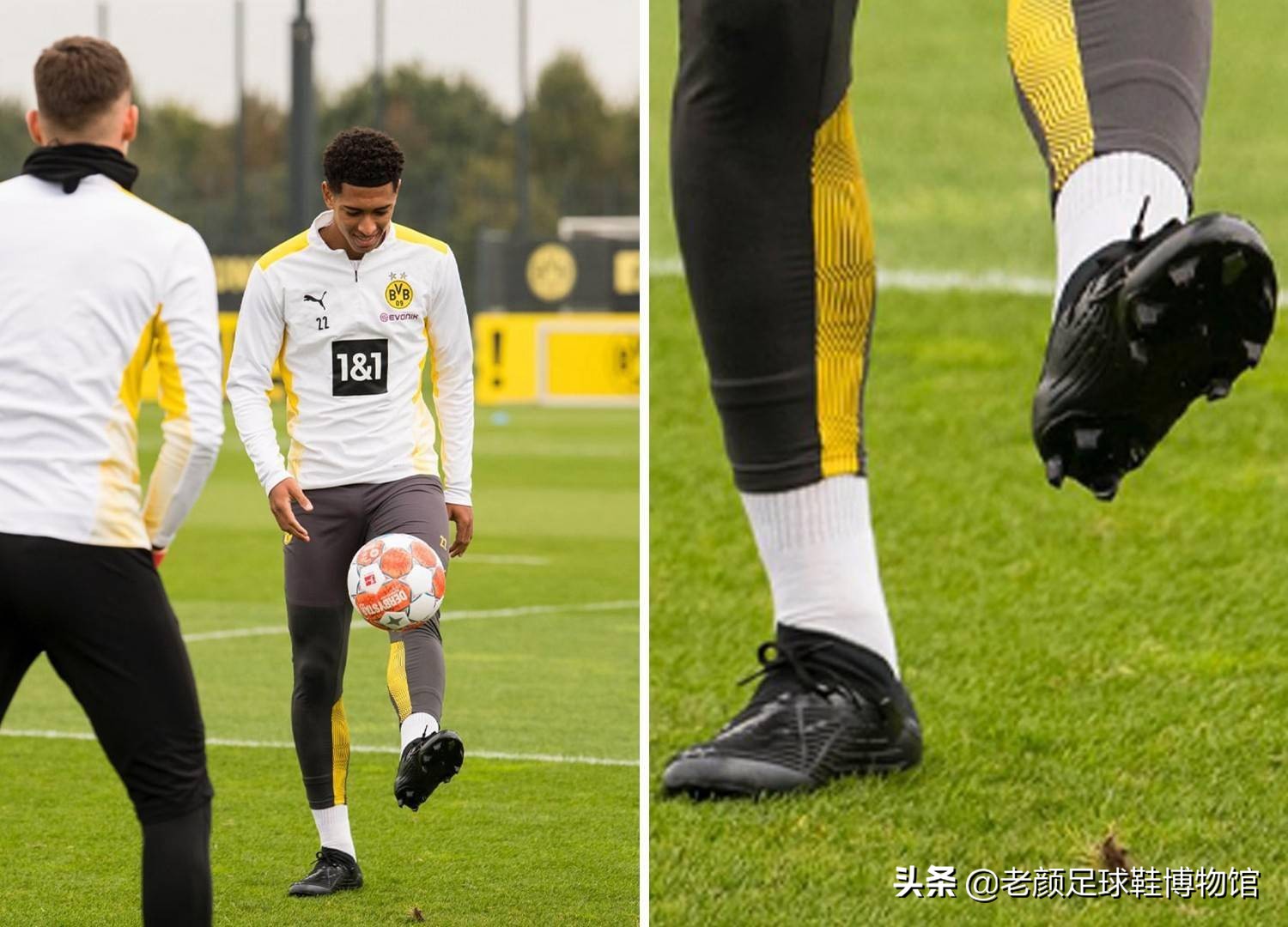 可能是其职 可能是其职