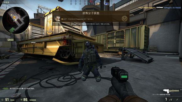 启示与前景 启示与前景