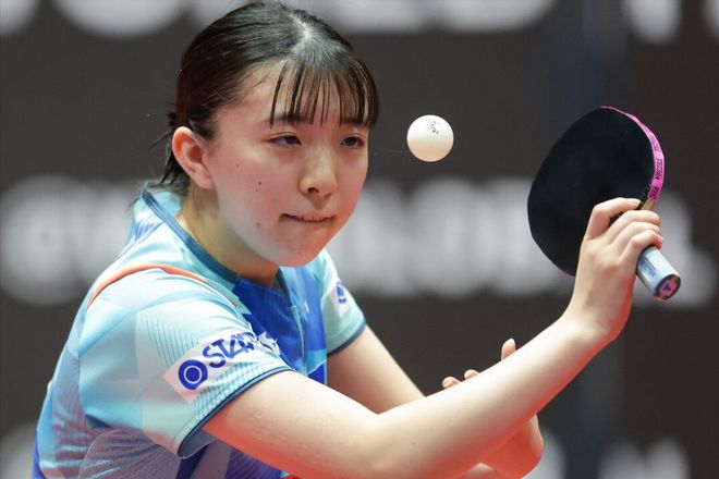 森的统治力 森的统治力