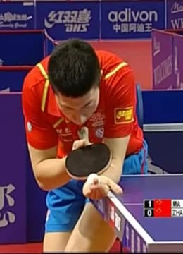 和观赏性 和观赏性