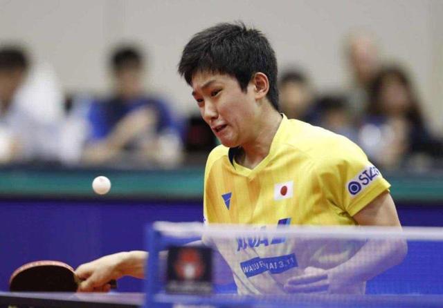 将不仅影响 将不仅影响